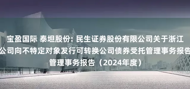 宝盈国际 泰坦股份: 民生证券股份有限公司关于浙江泰坦股份有限公司向不特定对象发行可转换公司债券受托管理事务报告（2024年度）