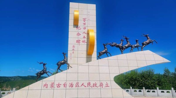 快牛策略 活力中国调研行 | 阿尔山百万亩人工林：四代务林人接续筑“绿”