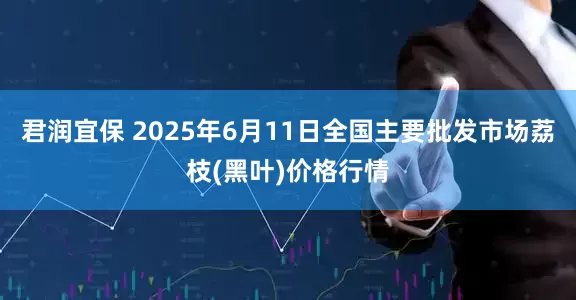 君润宜保 2025年6月11日全国主要批发市场荔枝(黑叶)价格行情
